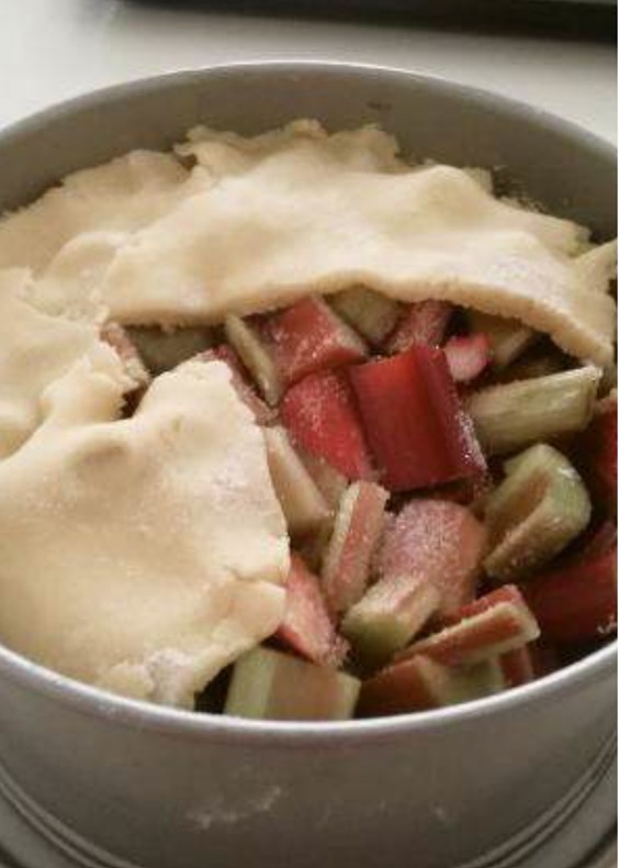 Rhabarberkuchen - Torta al Rabarbaro